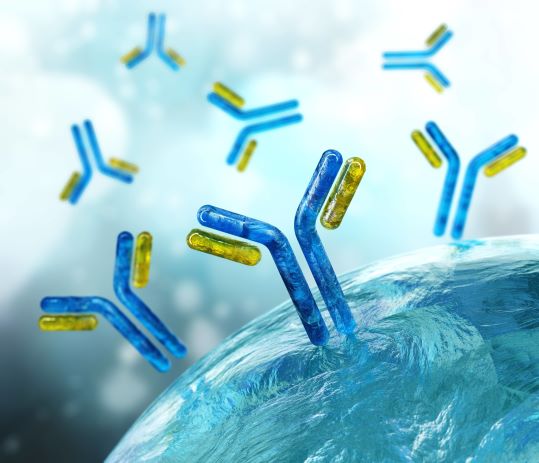 Immunoassay Development