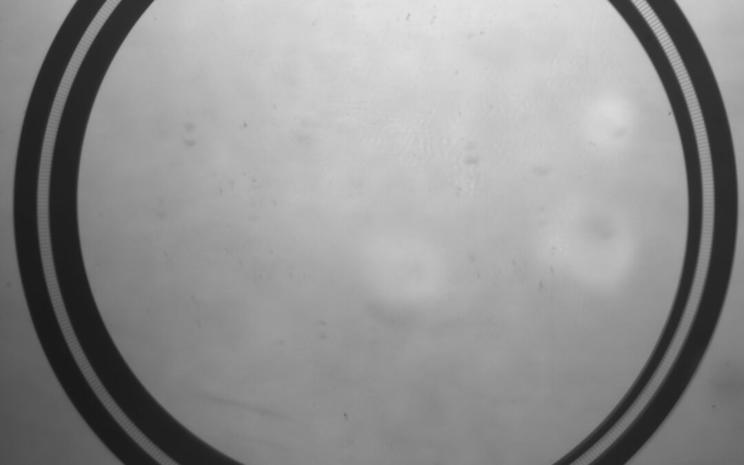 Blood Plasma Separation