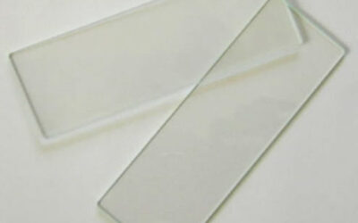 Glass Slides